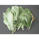 枇杷の葉(ペット用) 150g(乾燥しているびわ葉・生葉など) ※除草剤不使用