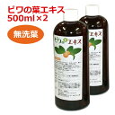 6ケ月以上熟成 無農薬ビワの葉エキス(無洗葉)500ml ×2本セット 健康サポート専門店オリジナル【枇杷葉(びわ葉)エキス】【ビワエキス】※送料無料(一部地域...