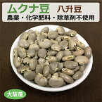 大阪産 生ムクナ豆 500g ※レビューで次回10%引きクーポン付き ※ゆうパケット送料無料 八升豆（ハッショウマメ）【健康サポート農園】無農薬・無化学肥料・無除草剤 自社農園 ムクナ Mucuna むくな豆 ドーパミン Lドーパ l-dopa レボドパ 国産