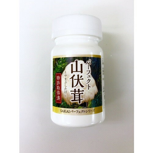 珍しい パーフェクト山伏茸 1粒 スーパーキノコ やまぶしたけ 国産 お気にいる Www Ugtu Net 珍しい パーフェクト山伏茸 1粒 スーパーキノコ やまぶしたけ 国産 お気にいる Www Ugtu Net