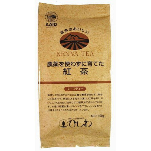 【お買上特典】農薬を使わずに育てた紅茶リーフティー 100g【菱和園】