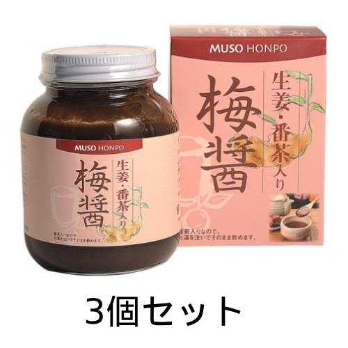 【お買上特典】生姜・番茶入り梅醤（うめしょう）250g（梅醤番茶）×3個セット【無双本舗】