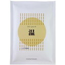 ホットパッチ 10枚入り(1枚10cm×14cm) ×10セット【吉田養真堂】
