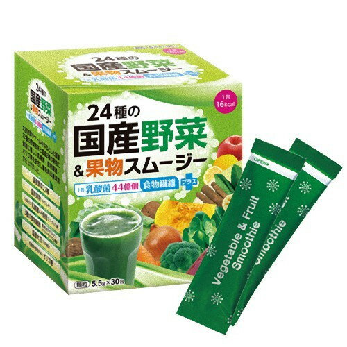 スカイフード 24種の国産野菜&果物スムージー 5.5g×30包【1包 乳酸菌44億個・食物繊維】 スカイフード 24種の国産野菜&果物スムージー 5.5g×30包【1包 乳酸菌44億個・食物繊維】