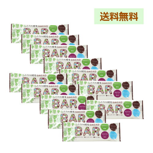 ppCyf CACAO BAR 40g~12 y䂤pPbgzyOC^[iViz