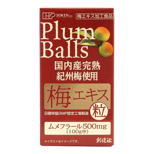 国内産完熟紀州梅使用 梅エキス 粒 90g（約450粒）【創