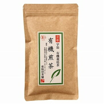 【ゆうパケット対応（1個まで）】 有機煎茶 100g 【童仙房茶舗】