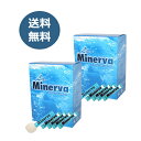 ミネルバ 青パパイヤ発酵食品(3g×30包)×2箱セット+6包増量 ※送料無料(一部地域を除く)