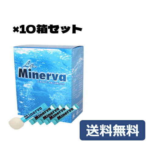 ミネルバ 青パパイヤ発酵食品（3g×30包）10箱セット+30包1箱分プレゼント ※全国送料無料 【あす楽対応】