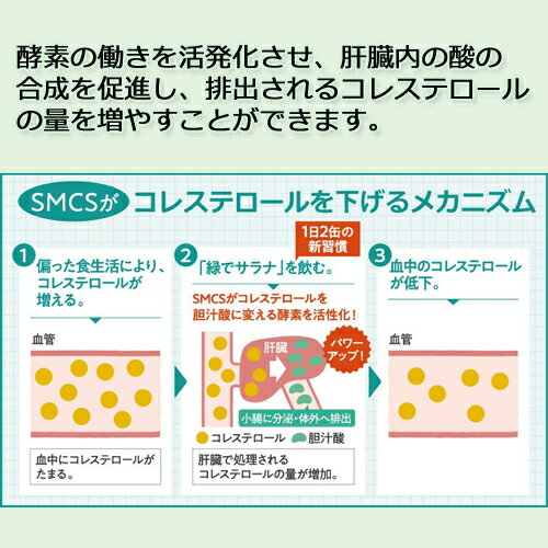 【お買上特典】【あす楽対応】緑でサラナ160gtimes;60缶※全国送料無料【特定保健用食品】【トクホ】【サンスター】※荷物総重量20kg以上で別途料金必要※キャンセル・ラッピング不可