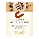 クレバー プロテインウエイトダウン チョコレート 315g(4)
