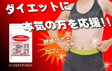 【お徳用12か月分】【送料無料】 ★【パーフェクト ダイエット+スリム美人】★ / ダイエット サプリ/ ダイエット食品 (ギムネマ・カルニチン・オルニチン・キトサン・レジスタントプロテイン配合)/脂肪燃焼/ダイエットサプリ/ダイエット/新陳代謝をよくしたい方に!