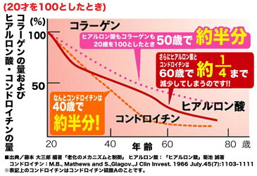 【お徳用6か月分】【28％OFF】【【お徳用6か月分】【28％OFF】コラーゲン/コラーゲン サプリメント/ビタミンc/肌/肌荒れ/必須ビタミン/郵パケット便 コラーゲン★送料無料！！ 資生堂愛用者の方にもオススメ！