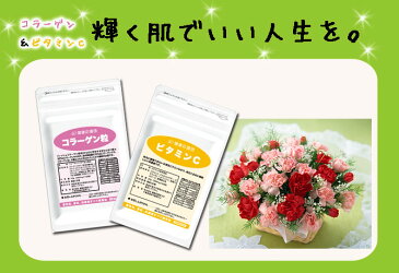 約3ヶ月分 ビタミンC サプリ 90粒 3袋 アセロラ ビタミンB2 ビタミンP 飲む日焼け止め 免疫 高める サプリメント