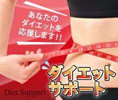 【お徳用12か月分】【送料無料】 ★【パーフェクト ダイエット+スリム美人】★ / ダイエット サプリ/ ダイエット食品 (ギムネマ・カルニチン・オルニチン・キトサン・レジスタントプロテイン配合)/脂肪燃焼/ダイエットサプリ/ダイエット/新陳代謝をよくしたい方に!