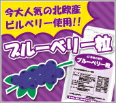 ブルーベリー DHA・EPA 瞳すっきりセット 約12ヵ月分 お徳用 サプリメント 送料無料 濃いビルベリー配合 カシス ルテイン βカロチン DHA EPA