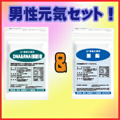 核酸+亜鉛 / 健康応援団の栄養補助食品 / 核酸★送料無料★【35%OFF】/亜鉛/ミネラル/エイジングケア/スカルプケア/男性/女性/ネイル/supplement