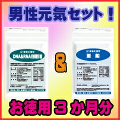 【お徳用3か月分】【送料無料】核酸+亜鉛 / 健康応援団の栄養補助食品 / 核酸★送料無料★/亜鉛/ミネラル/エイジングケア/スカルプケア/男性/ネイル/supplement
