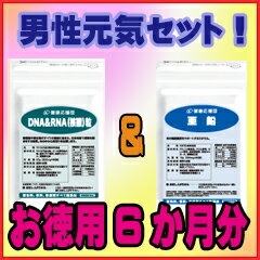 【お徳用6か月分】【送料無料】核酸+亜鉛 / 健康応援団の栄養補助食品 / 核酸★送料無料★【35%OFF】/亜鉛/ミネラル/エイジングケア/スカルプケア/男性/ネイル/supplement