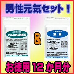 【お徳用12か月分】【送料無料】核酸+亜鉛 / 健康応援団の栄養補助食品 / 【35%OFF】ミネラル/エイジングケア/スカルプケア/男性/ネイル/supplement/髪