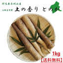 【今季終了間近！】自然薯 とろろ じねんじょ カット 1kg 高級 とのか 群馬県産 応援 産地直送 ギフト 送料無料 【季節限定】