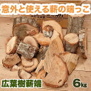 薪 広葉樹 端詰め合わせ 薪ストーブ 焚き火 薪割り キャンプ バーベキュー ピザ窯 容量 6kg 11L 送料無料