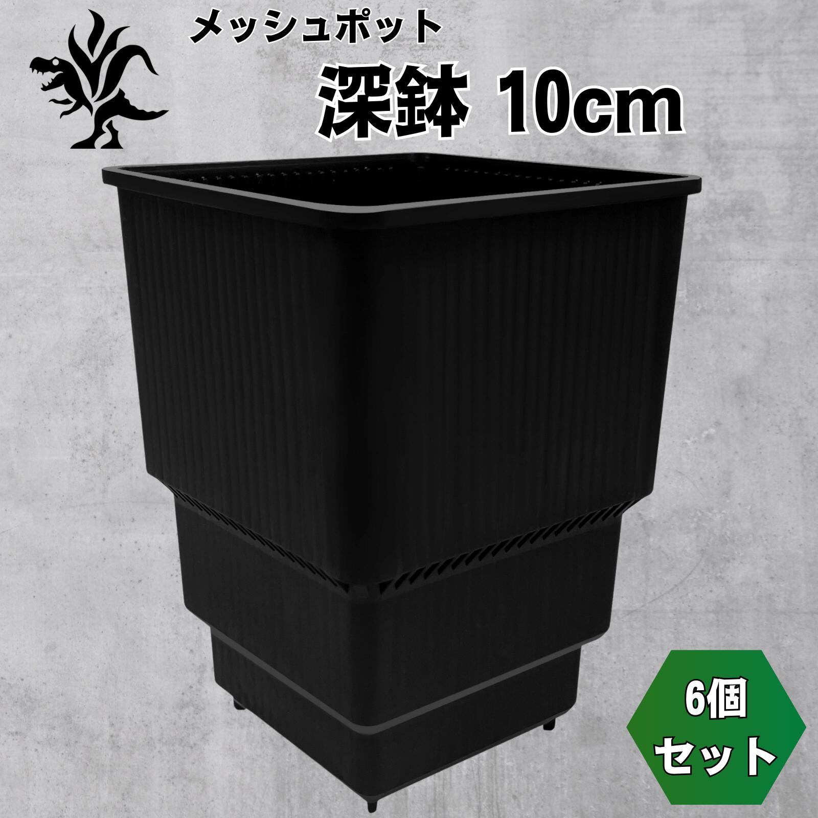 Kaiiju Plant メッシュポット サークリングしない プラ鉢 アガベ 多肉 サボテン用 排水 速乾 6個セット (深鉢 10cm)