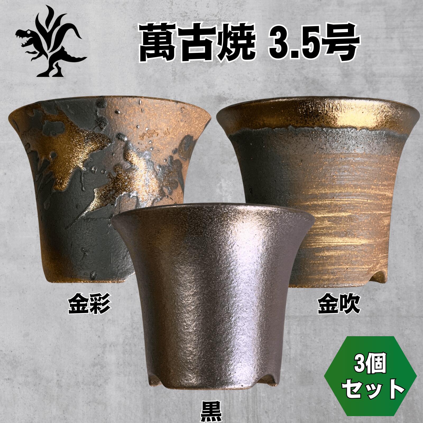 Kaiju Plant 萬古焼 3.5号 陶器鉢 ラッパ