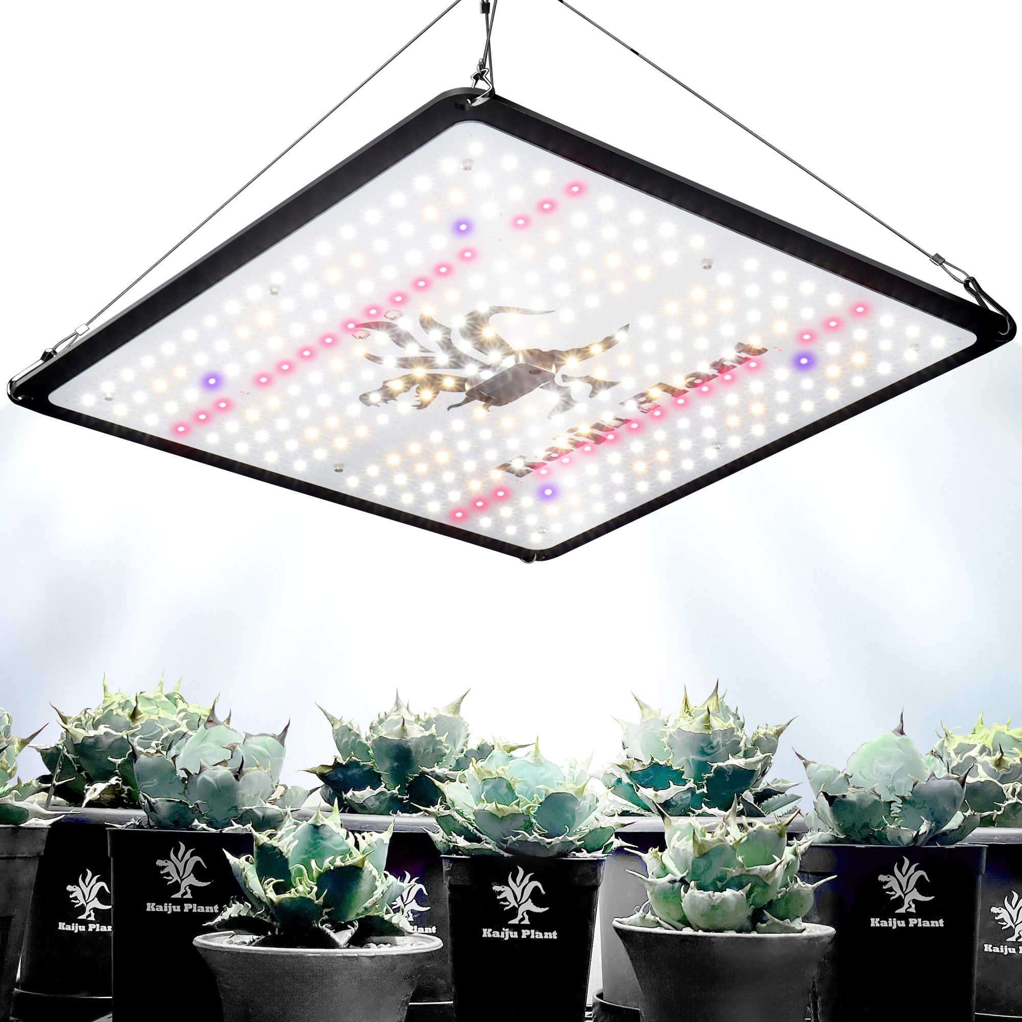 Kaiju Plant A琬Cg btA ܂őẑ悤 plLED tXyNg UV IR  (301iubNj) Zbg