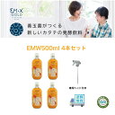 【専用スプレーヘッド付】【割引クーポン配布中】EMW500ml 4本セット EM 発酵 消臭 ペット用 掃除 マルチクリーナー 消臭 掃除 洗濯 シックハウス対策 キッチン リビング トイレ お風呂場 車 有機酸 大掃除 おまけ付き emw emw500ml