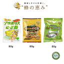 のど飴80g ブラジル南部産ユーカリプロポリス使用 無農薬 無化学肥料 純粋天然由来 安心 安全なプロポリス のどの不快感 すっきりと和らげる 天然の抗菌作用 サンフローラ 甘くないのど潤い