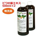 6ケ月以上熟成 無農薬濃厚ビワの葉エキス（無洗葉 濃厚タイプ）500ml ×2本セット 健康サポート専門店オリジナル【枇杷葉（びわ葉）エキ..