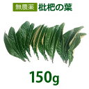 無農薬 枇杷の葉(びわの葉)150g(枇杷の生葉15枚前後)※使い方説明書付き【長崎・大分県産】 ※送料無料(一部地域を除く)※除草剤不使用 ※同梱不可