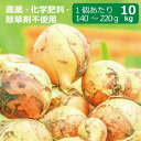 農薬・化学肥料・除草剤不使用 玉ねぎ 10kg ※玉ねぎのサイズは1個当たり140g~220g ※送料無料(一部地域を除く)【健康サポート農園】