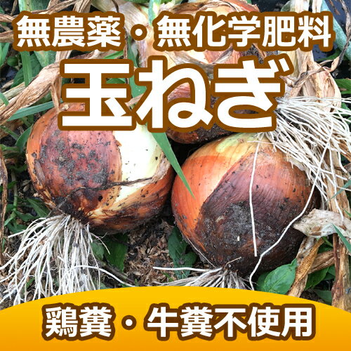 【大阪府箕面産】農薬・化学肥料・除草剤不使用　玉ねぎ5kg 
