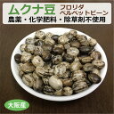 ■商品名：ムクナ豆 ■品種：フロリダベルベットビーン ■内容量：300g ※自然のものなので豆自体の重量は多少前後する場合があります。 ■商品説明： ムクナ豆は元々南方系の産物で、日本でも古くから栽培されています。 つる性の植物で、1つの花房から数本がぶら下がるようにさやが付き、豆は黒・白・黄褐色をしており、豊富に栄養が含まれています。 中でも、ムクナ豆に含まれる天然成分L-ドーパというアミノ酸の一種が現在知られている植物の中で、最も多く含まれることが分かり注目を集めています。 ムクナ豆には多くの種類がありますが、健康サポート農園では日本の古来種の「八升豆」と外来種の「フロリダベルベットビーン」の2種類を栽培しています。農薬・化学肥料・除草剤不使用です。鞘と豆の色は多少異なりますが、栄養成分や機能成分量に関しては両者に大きな違いはありません。 ※ムクナ豆は生や半生ではなく、必ず加熱してからお召し上がりください。 また、1日3回、1回に3粒程度が目安です。1日約9gで8日分の内容量となります。 ご自身の体調に合わせて適量をお決めください。妊婦の方はお控えください。 ムクナ豆の質問 ・乾燥のために加熱処理などを行っていますか？ 回答 当店のムクナ豆は自然乾燥させたもので加熱処理はしておりません。 さや付きムクナ豆は収穫後、自然乾燥させたもので、豆のみのムクナ豆は自然乾燥させたさや付きムクナ豆から豆をとり出したものとなります。どちらも自然乾燥させてそのまま保管しています。 【メール便（ヤマトメール便、ゆうパケット、定形外郵便）の注意点　※必ずお読みください】 ※送料は、最終の発送完了メールにてご確認をお願いします。※メール便は、ポスト投函のため代引・同梱不可、日時指定不可となります。また、ポストに入らない大きさの場合、配送業者持ち帰りとなります。※メール便の場合、万一、破損・紛失しても補償の対象外となります。また、厚み制限のため、緩衝材やプチプチを使用しない場合もありますので、その点をご了承いただいた上でご利用ください。※商品タイトルに記載以上の数量の購入や、他の商品も一緒に購入される際には、 宅配便に変更（宅配便の送料に変更）、または、別途追加料金が発生する場合がございます。※ 「ゆうパケット送料無料」と書かれた商品と宅配便の商品を同時にご注文された場合には、ゆうパケットで送れないため、宅配便でまとめてお送りします。 その際、表記上は「送料無料」と表示されますが、のちほど送料加算のご連絡をさせていただきます。 ※「ヤマトメール便」、「ゆうパケット」は追跡番号がありますが、定形外郵便は追跡番号がありません。※メール便には「ヤマトメール便」、「ゆうパケット」、「定形外郵便」がありますが、選択はできず、タイトル記載にあるメール便のみとなります。メール便の詳細はこちら（「メール便（ヤマトメール、ゆうパケット、定形外郵便）について」をご確認下さい）やる気がなくなった人、体力の衰えを感じる人、集中できなくなった人に！ 体内でドーパミンに変化する L-ドーパが豊富な「ムクナ豆」