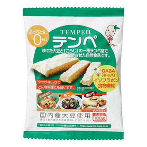 【お買上特典】テンペ（レトルト）100g【マルシン食品】 1