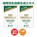 植物性乳酸菌生成エキス 150ml（5ml×30包）×2箱セ