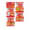 【お買上特典】アップルグミ(20g×4連)【サンコー】