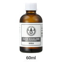 オリーブスクワランオイル 60ml （Olive squalane） 【生活の木】