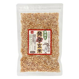 素焼き発芽玄米 80g【健康フーズ】