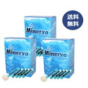 ミネルバ 青パパイヤ発酵食品×3箱セット+6包増量+3包付(他の青パパイヤー酵素食品)※送料無料(一部地域を除く)