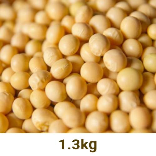 自然栽培の大豆 1.3kg 【マルカワみそ】※キャンセル不可