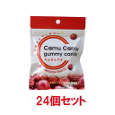 【メーカー直送】カムカムグミ (42g×24個セット) 【アマゾンカムカム】※キャンセル・代引・同梱不可 ※送料無料(一部地域を除く)