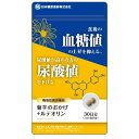 【ゆうパケット対応】菊芋のおかげ+ルテオリン 54g(300mg×180粒) 【日本糖尿食研】