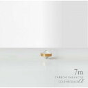 【予約商品】カーボンバランサーα ゴールドネックレス 半径7m 【正規販売代理店】【ヒーリング】※全国送料無料 ※メーカー直送のため代引・同梱・キャンセル不可 ...