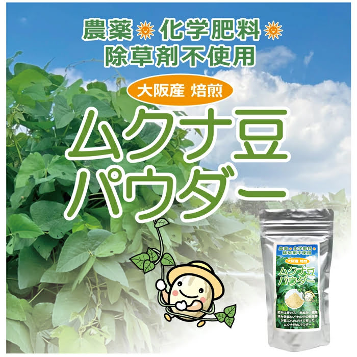 【5/5(月)限定！楽天カード利用でポイント8倍！】パン粉 国産 岩手県産 南部小麦で作った パン粉 200g 10袋セット 桜井食品 送料無料