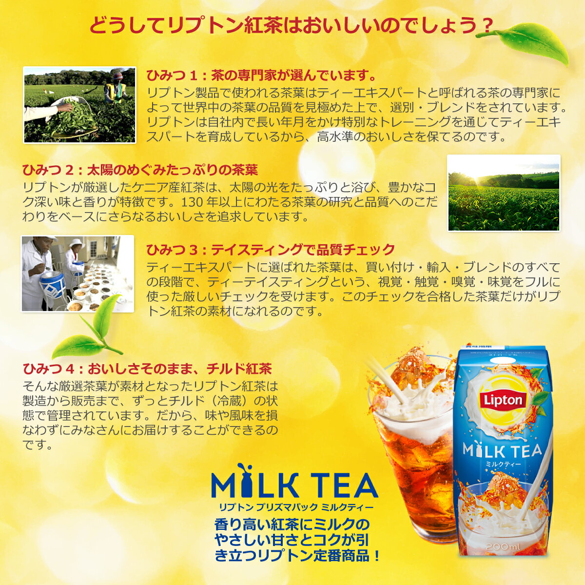 森永乳業 リプトン ミルクティー 200ml 24本×2ケース　紅茶 milk ミルクティ Lipton 紙パック飲料 2