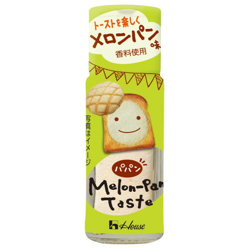 ハウス食品 パパン メロンパン味 28g 10個