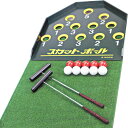 介護雑貨・生活支援用品 スカットボールセット 【羽立工業】 【NH4100】